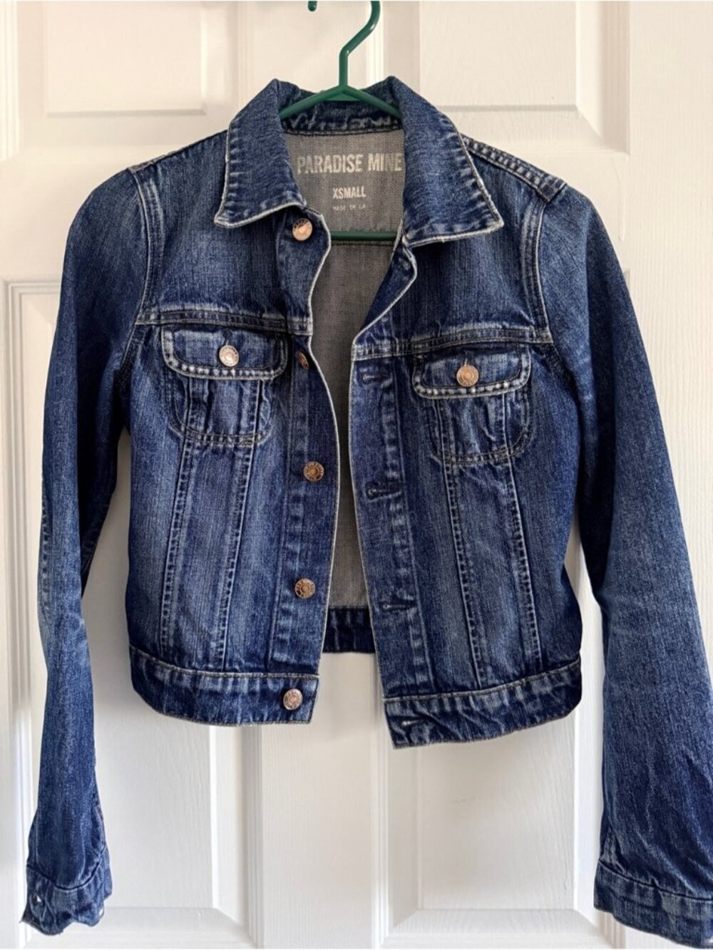 Aritzia Paradise Mine Classic Blue Denim Jacket